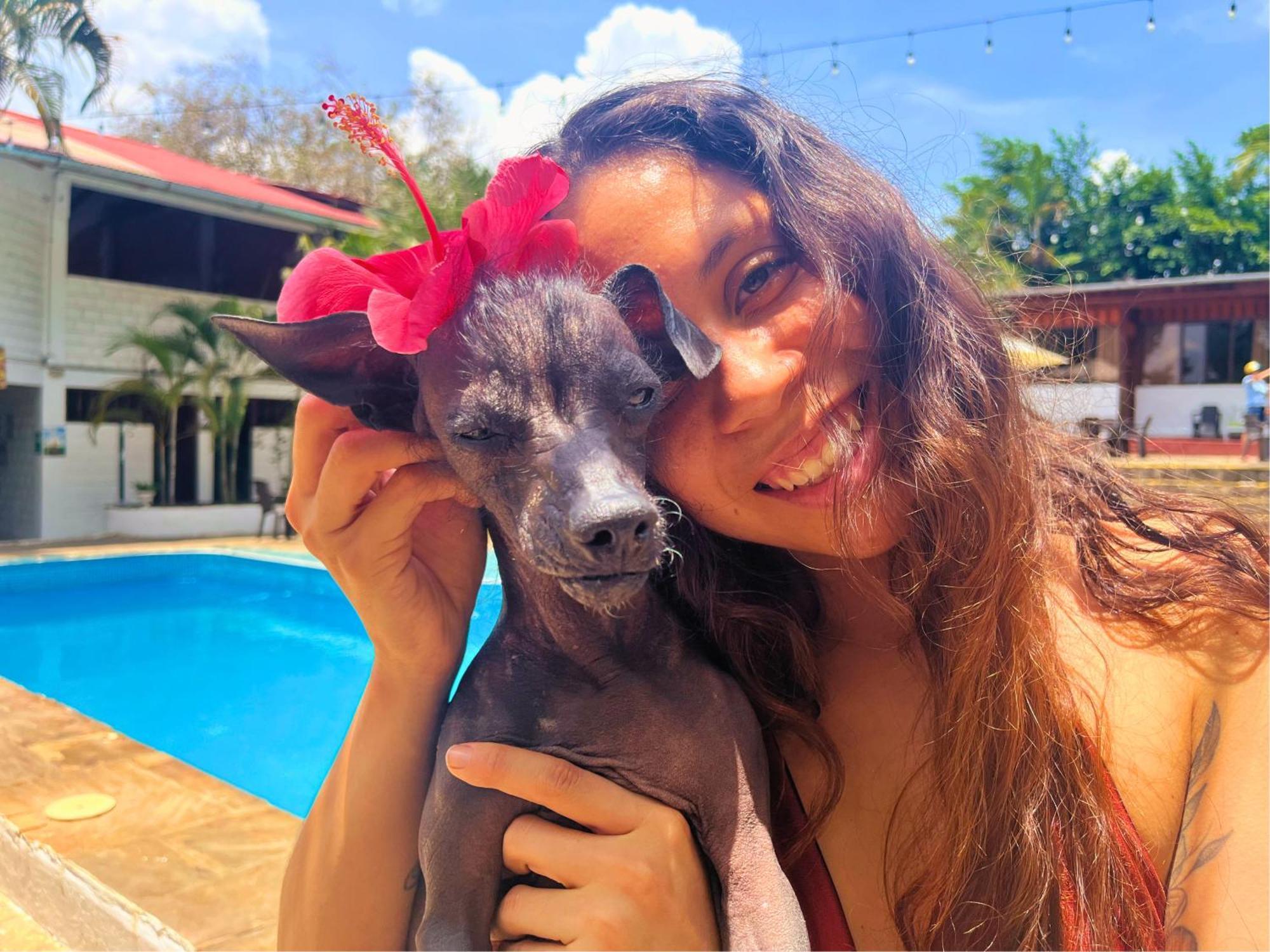 מלון טראפוטו Casabosque מראה חיצוני תמונה